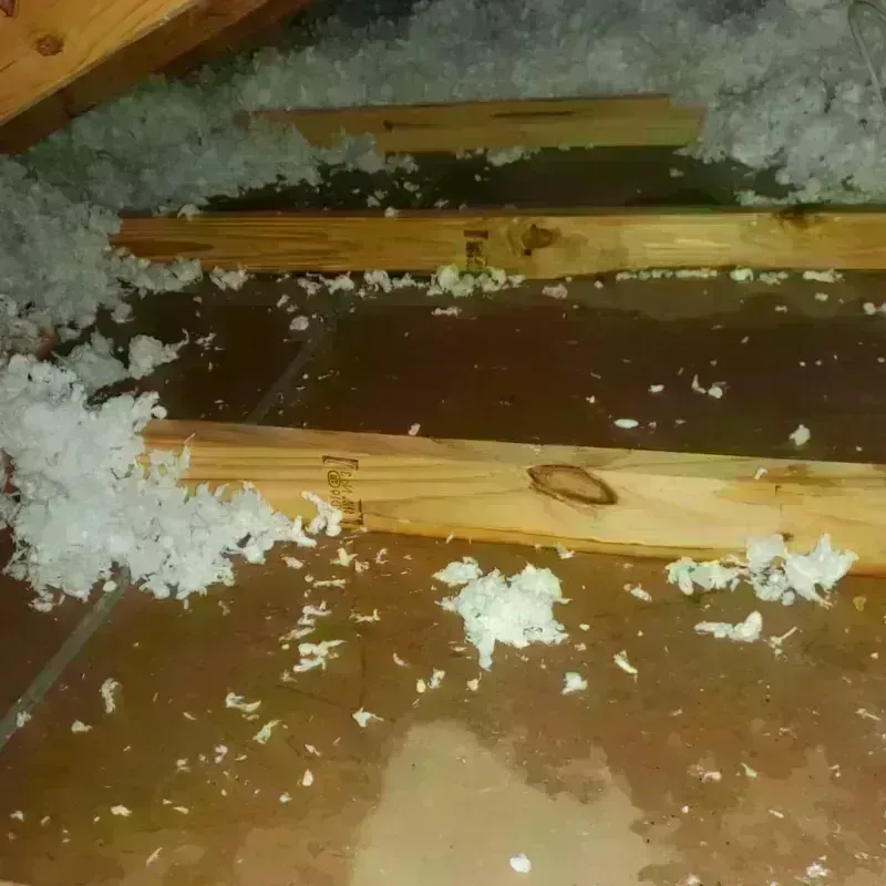 Attic Water Damage in Ward County, ND